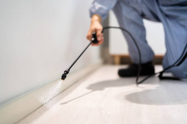 Licensed Mosquito Control service in Grand Mound, WA - Show Me Pest Control