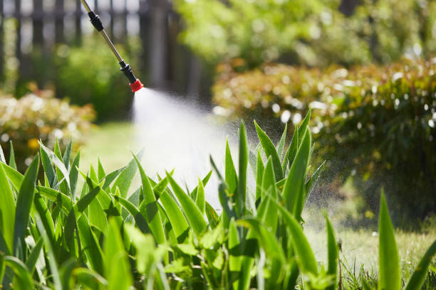 24/7 Emergency Mosquito Control experts in Grand Mound, WA