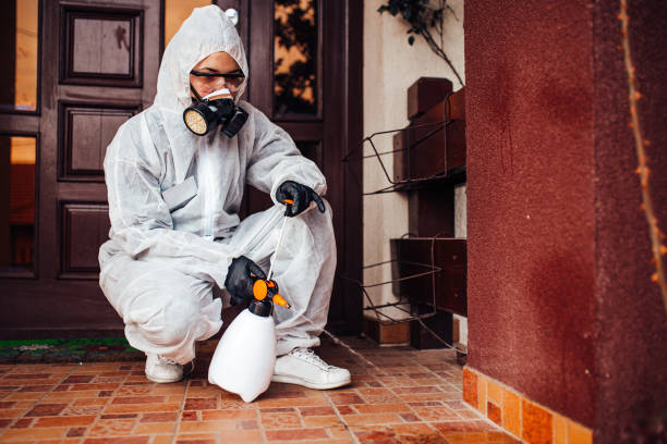 Reliable Mosquito Control contractor in Grand Mound, WA by Show Me Pest Control