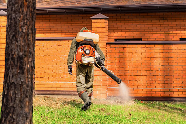 Top rated local Mosquito Control specialists in Grand Mound, WA